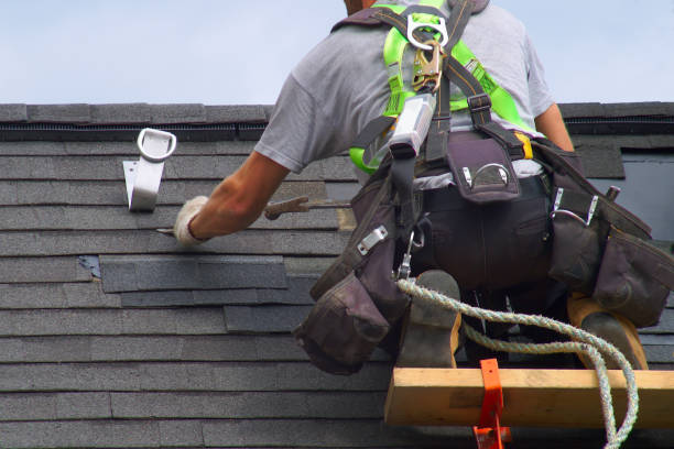 Best Roof Gutter Cleaning  in Moorhead, MN