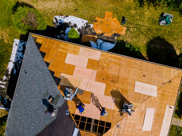 Best Roof Repair Services  in Moorhead, MN
